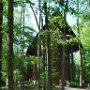 We visit a beautiful glass church near Hot Springs.